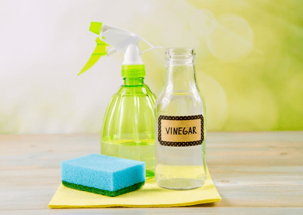 How to Clean Glass Shower Doors and Get Rid of Hard Water Stains and
