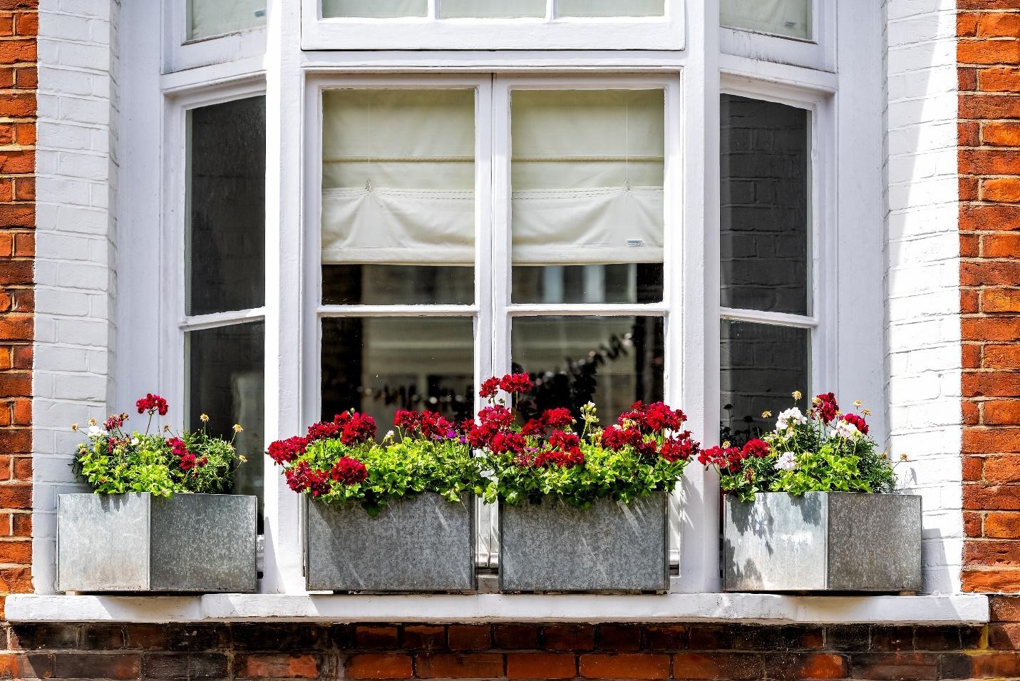What Is The Difference Between Bow Window and Bay Window?