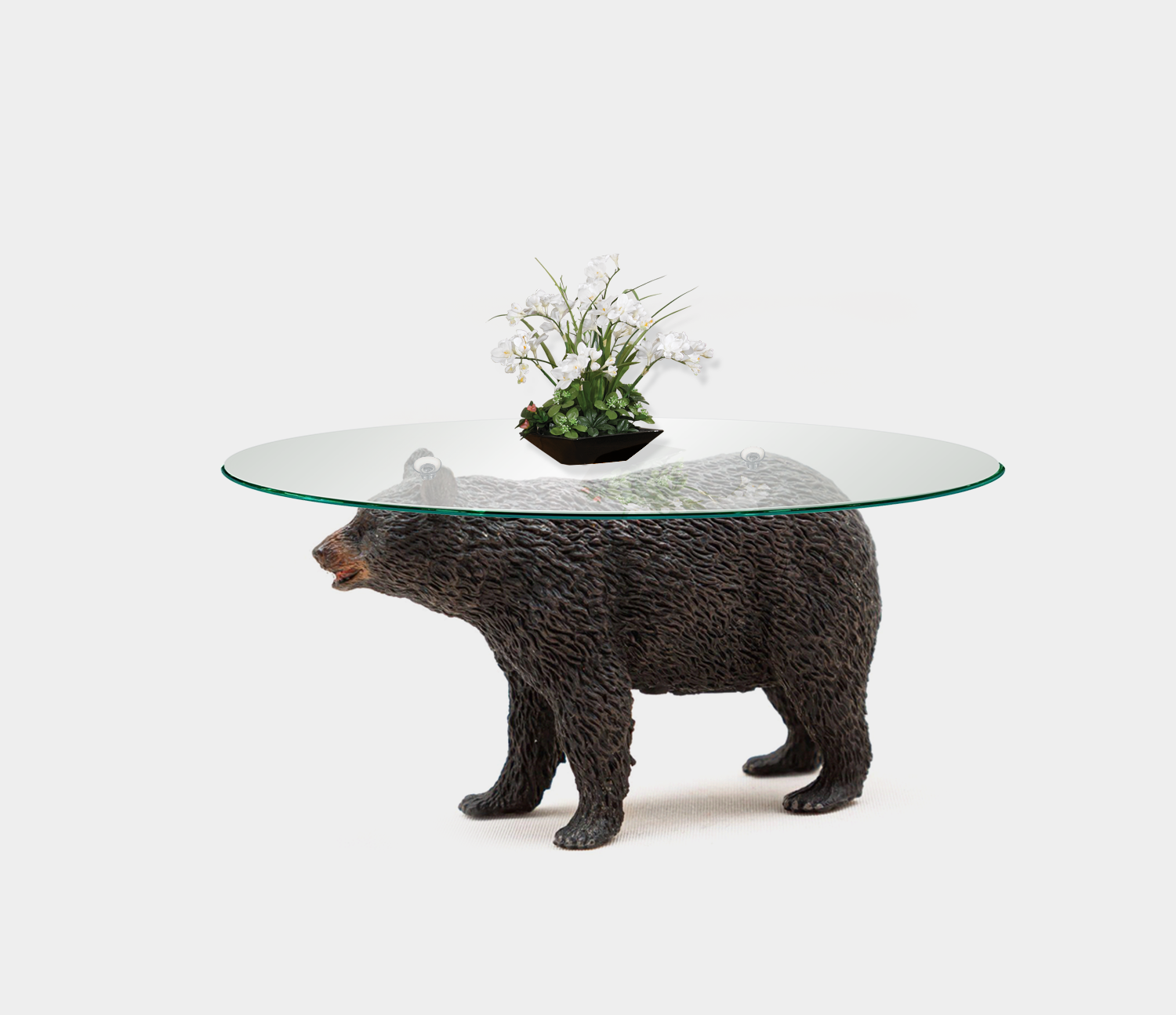 animal-coffee-tables-ideas-with-glass-tops