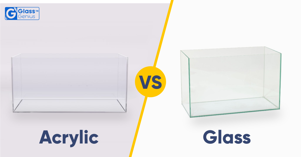 Acrylic vs Glass Aquarium: A Deep Comparison - Glass Genius