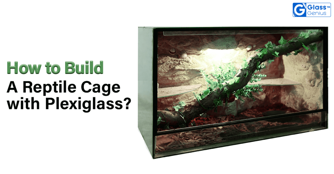 How to Build a Reptile Cage with Plexiglass?