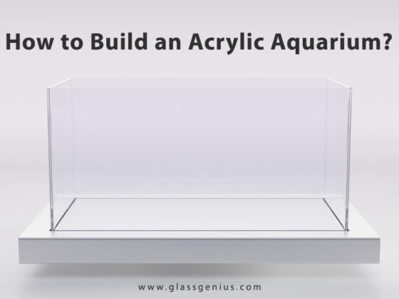 Everything You Need To Know Acrylic Boxes