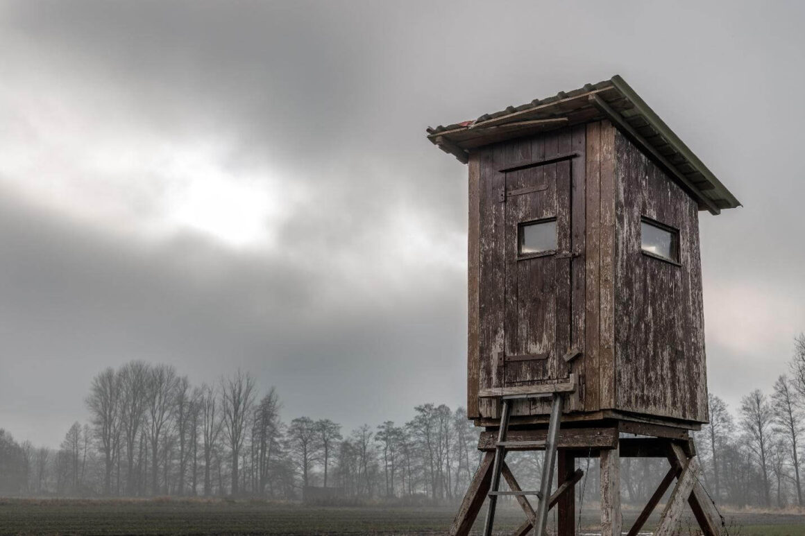Deer Blind Windows A Comprehensive Guide!