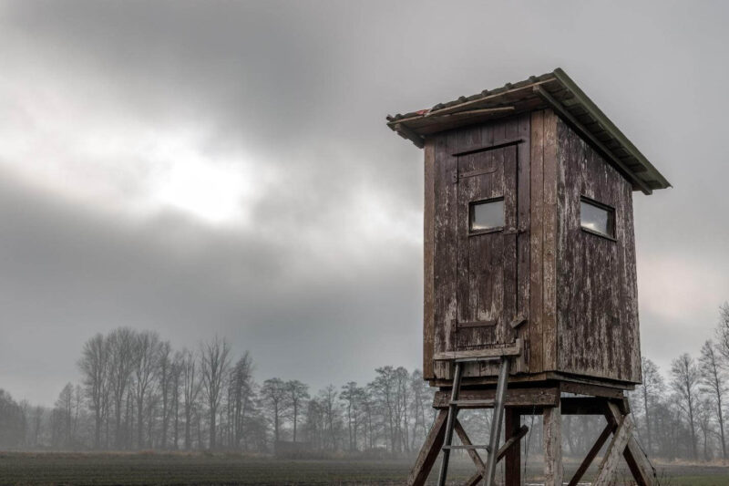 Deer Blind Windows A Comprehensive Guide!