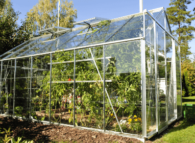 Greenhouse Gardening